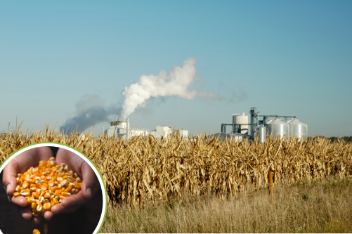 Ethanol factory